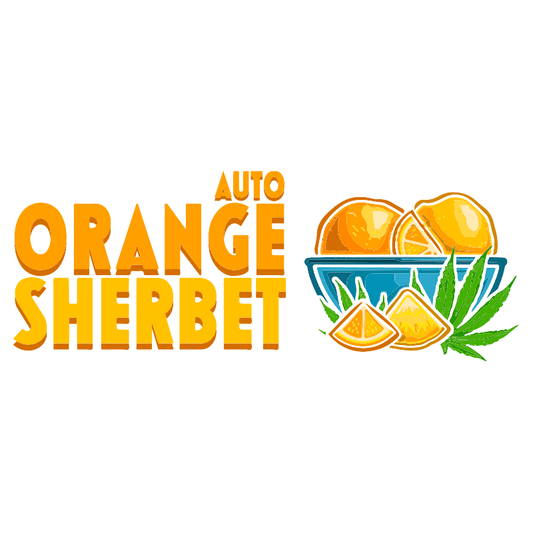Orange Sherbet Auto