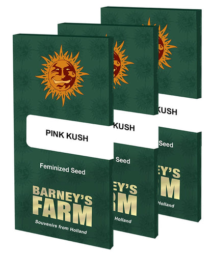 Barney's Farm Pink Kush