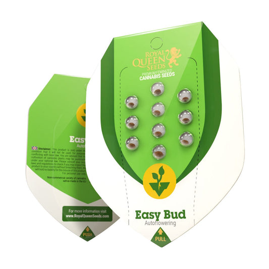 RQS Easy Bud