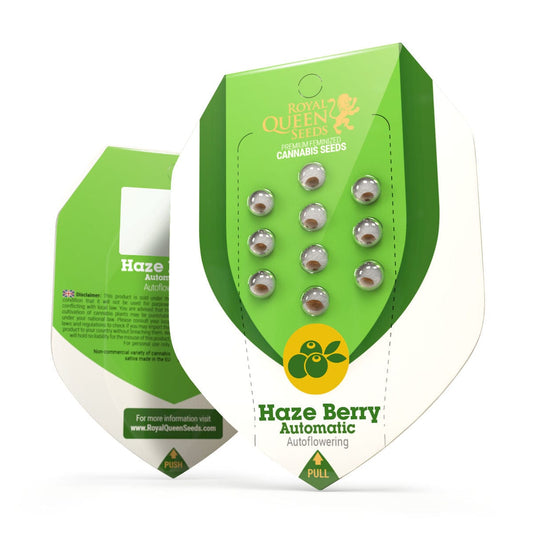 RQS Haze Berry Automatic